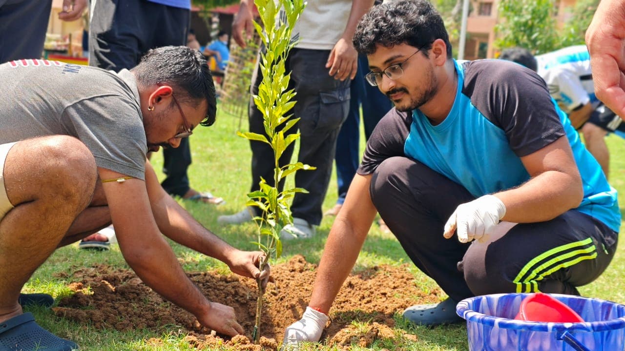 Plantation Drive 2024